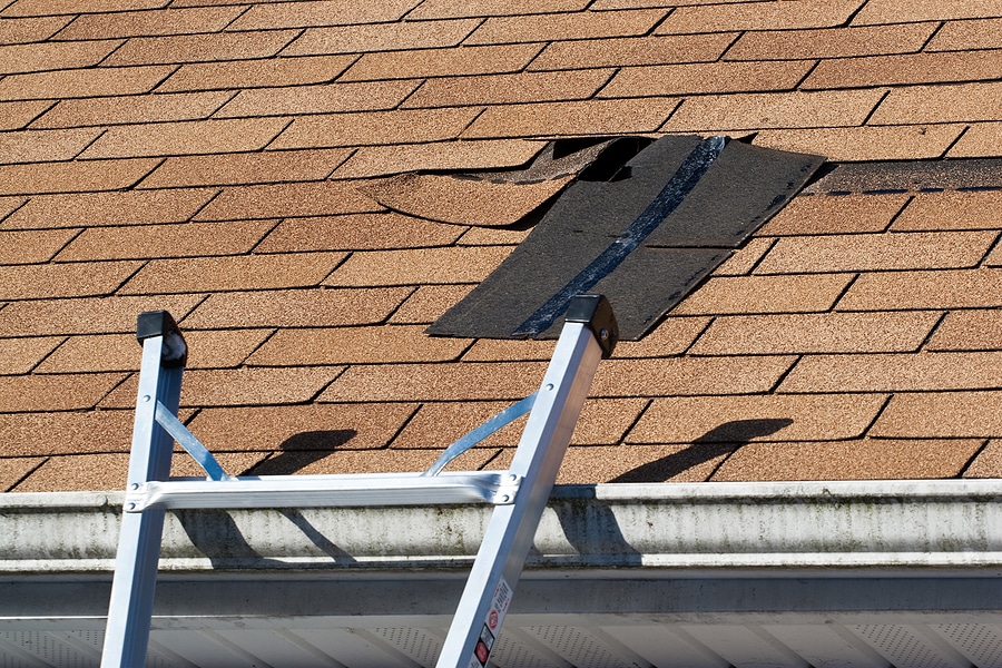 Frightening Signs Your Roof Might Be in Trouble